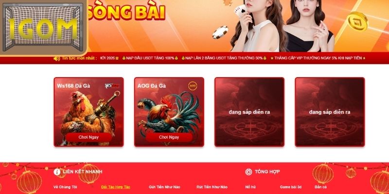 Đá Gà – Nội dung truyền thống được tối ưu