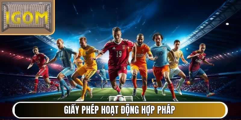Giấy phép hoạt động hợp pháp