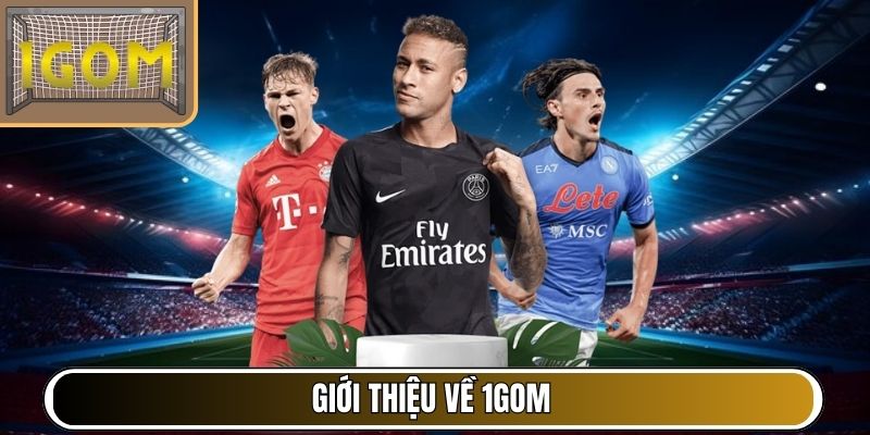 Giới thiệu về 1Gom