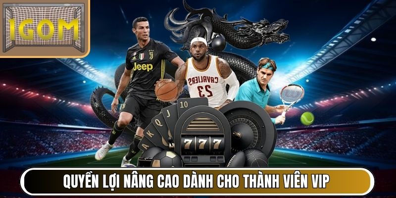 Quyền lợi nâng cao dành cho thành viên VIP