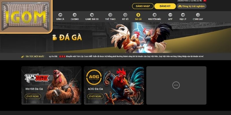 Đá Gà – Cá cược gà trực tiếp hấp dẫn