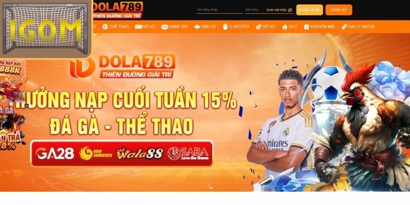 Giới thiệu nhà cái Dola789
