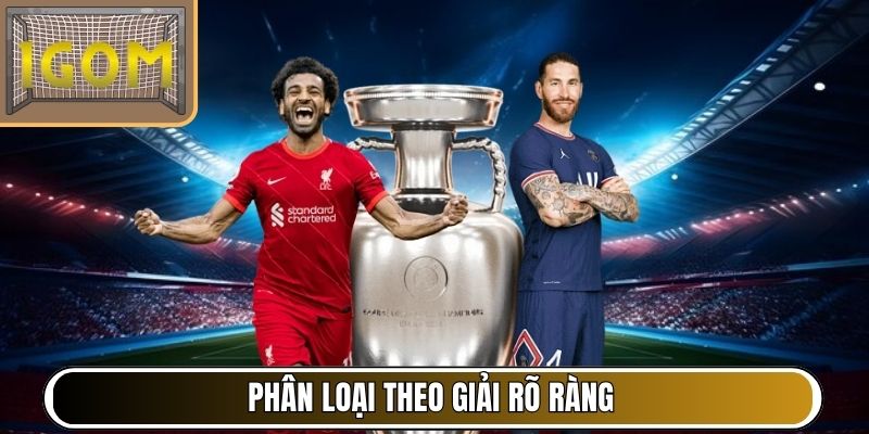Phân loại theo giải rõ ràng