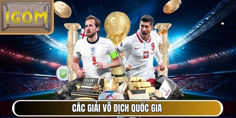 Các giải vô địch quốc gia