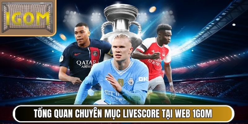 Tổng quan chuyên mục livescore tại web 1Gom