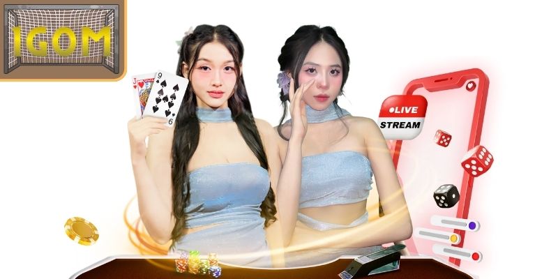 Lịch sử ra đời MN88