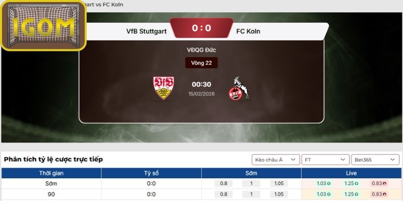 Kèo châu Á trận VfB Stuttgart vs FC Koln (00:30 ngày 15/02, Bundesliga)