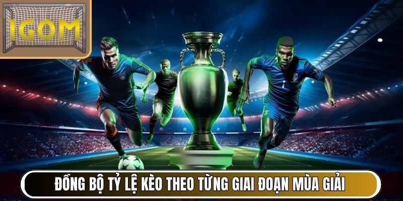 Đồng bộ tỷ lệ kèo theo từng giai đoạn mùa giải